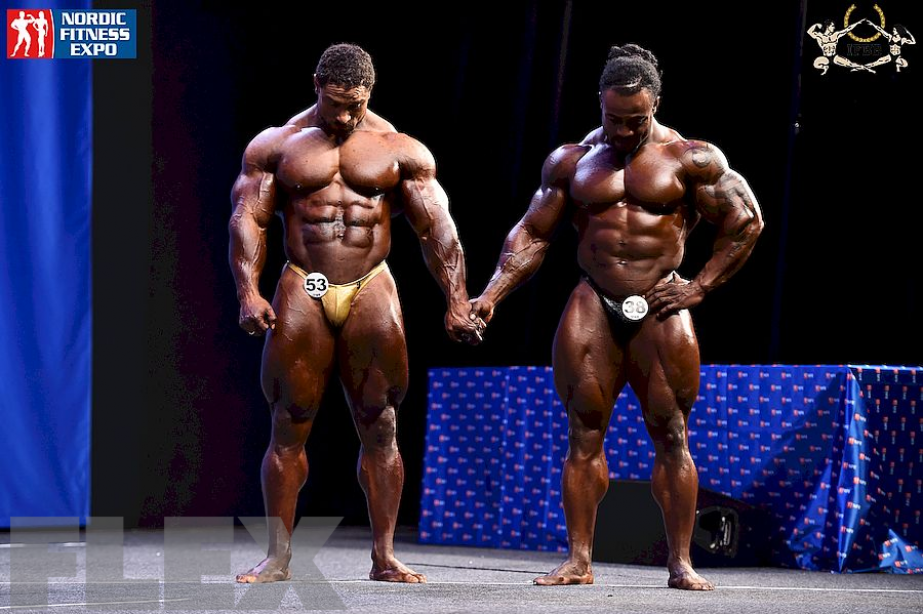 Men's Open Bodybuilding Awards 2015 IFBB Nordic Pro Muscle & Fitness